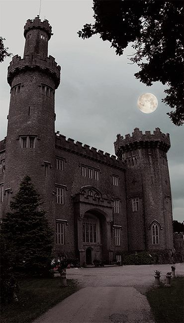 " This is a picture of Charleville Forest castle, which is rumored to be haunted by several ghosts and has been featured on a few paranormal shows on TV. " - via Hauntings / Haunted Places FB page https://www.facebook.com/photo.php?fbid=10152682256720595=a.282449205594.313897.243805275594=1 Castle Reference, Haunted Palace, Scary Castle, Forest Castle, Haunted Castles, Uk Castles, Castle Ireland, Old Castle, Chateau Medieval