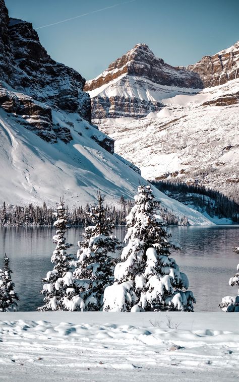 Columbia Icefields, Athabasca Falls, Jasper Canada, Icefields Parkway, Lake Time, Different Points Of View, Epic Journey, Canadian Rockies, Day Hike