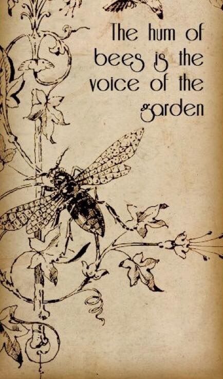 Bee Printables, Garden Quotes, Bee Decor, Bee Art, Save The Bees, Crafts Projects, Bees Knees, Bee Happy, Old Book