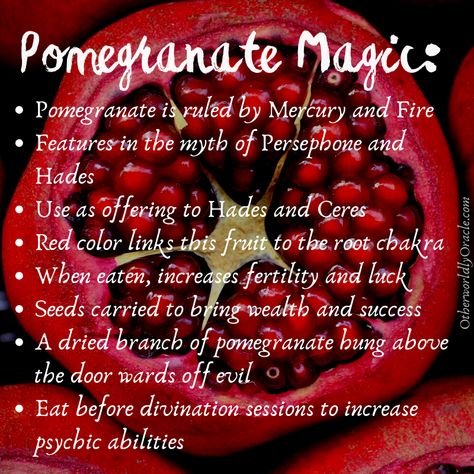 Hades and Persephone: A Complex Story of Love and Divinity Goddess Of Life, Persephone Goddess, Chart Astrology, Magickal Herbs, Witch Herbs, Witch Spirituality, Bottle Ideas, Magical Herbs, Witchcraft Spell Books