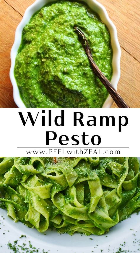 The ultimate ramp PESTO recipe! Great on pasta or smear on a steak. Wild ramps can be found at your local farmers' market or even in your own backyard. Garlic flavor perfect on pasta, over fish or grilled veggies. #ramps #wildleeks #pesto #rampecipes #springonions #foragingrecipe Ramps Recipe, Ramp Recipes, Wild Leeks, Wild Ramps, Ramp Pesto, Easy Spring Recipes, Pesto Recipes, Ottolenghi Recipes, Spring Recipe