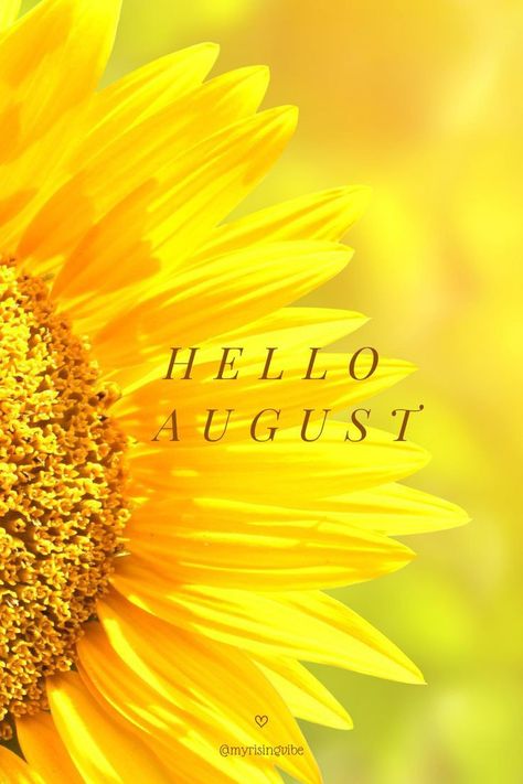 Hello August Quotes, Hello August Images, New Month Wishes, August Pictures, August Images, August Quotes, August Wallpaper, Happy August, Seasons Months