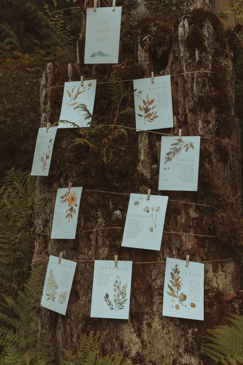 Don't be afraid to get creative and use what you have! This client was not thrilled about this stump beside their cake table. Instead of trying to cover it, they utilized it as a seating chart for the reception! #weddingphotography Bare Bones Photography . . . Modern 2023 wedding | whimsical PNW Seattle Planning Table Assignment Sign, Unique Seating Chart Wedding, Unique Seating Chart, Unique Seating, Saint Helens, Table Assignments, Wedding Whimsical, Seating Chart Wedding, Cake Table