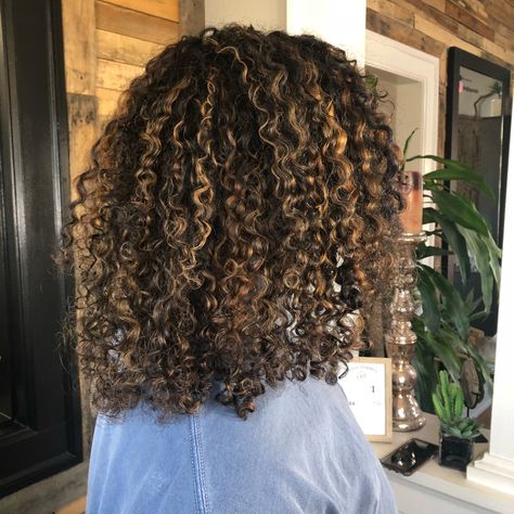 Medium Curls With Caramel Highs Pintura Highlights, Naturally Curly Hair Updo, Curly Hair Color Ideas, Curly Hair Color, Curly Highlights, Curly Hair Highlights, Dyed Curly Hair, Highlights Curly Hair, Medium Curls