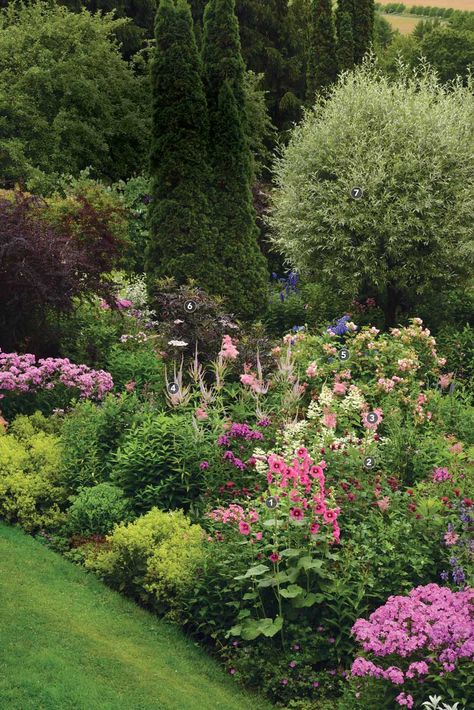 4 Planting Plans for Multiseason Garden Designs - FineGardening Dreamy Backyard, Rose Bed, New England Garden, Boston Garden, Landscaping Projects, Border Ideas, Planting Plan, Cottage Garden Design, Magic Garden