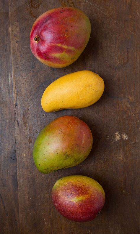 There are dozens of mango varieties out there, but depending on where you live, these four are what you’ll most likely find in American groceries. Most people consider the ataulfo (champagne) variety as the highest quality mango available in the U.S.; your perfect mango will largely depend on your tastes and what you want to do with it. Check out our mango glossary. Mango Varieties, Ripe Mango, Restaurant Deals, Mango Margarita, Mango Lassi, Dried Mangoes, Mango Fruit, Mango Recipes, Mango Salsa