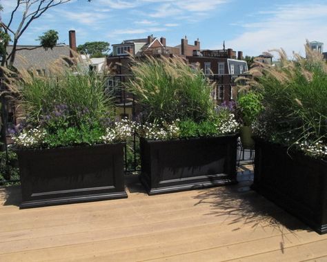 Landscape Front Porch Design, Pictures, Remodel, Decor and Ideas - page 42 Container Evergreens, Red Fountain Grass, Veranda Design, Privacy Planter, Outdoor Planter Boxes, Large Outdoor Planters, Low Water Gardening, Drought Resistant Plants, Fountain Grass