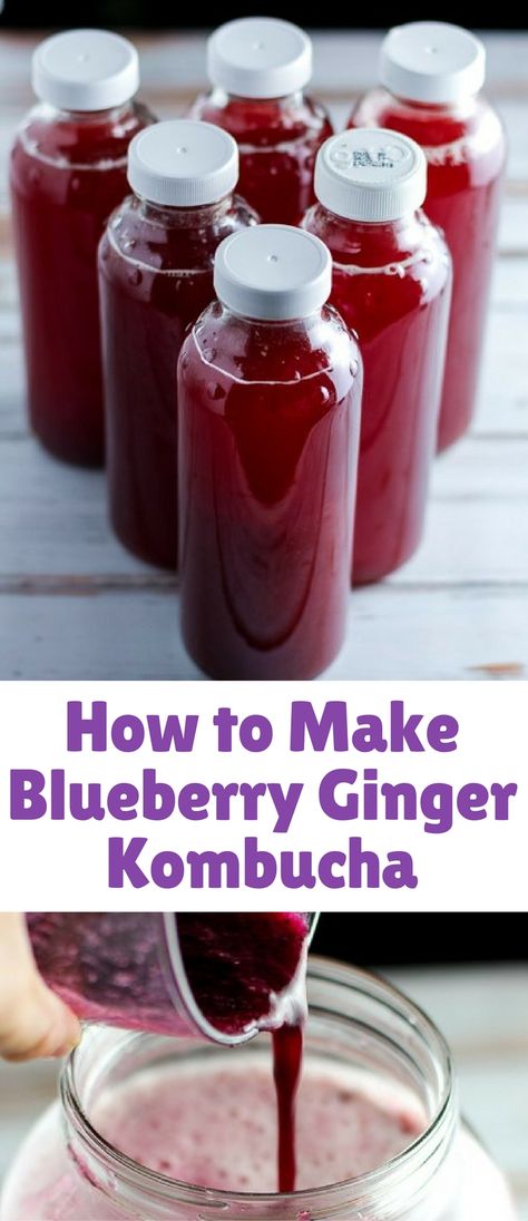 Ginger Kombucha Recipe, Blueberry Kombucha, Kombucha Flavors Recipes, Ginger Kombucha, Kombucha Flavors, Kombucha Scoby, Kombucha Recipe, Homemade Kombucha, Fermented Tea