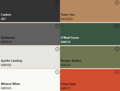 Black White Olive Color Palette, Emerald Green And Black Color Palette, Olive Green And Grey Color Palette, Equestrian Color Palette, Green And Tan Bathroom, Urban Mapping, Cool Greys, Men's Bedroom, Test Pattern