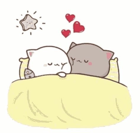 Cat Hug Gif, Calin Gif, Good Night For Him, Gif Cute, Hug Gif, Teddy Pictures, Hello Kitty Wallpaper Hd, Beautiful Good Night Quotes, Love Texts For Him