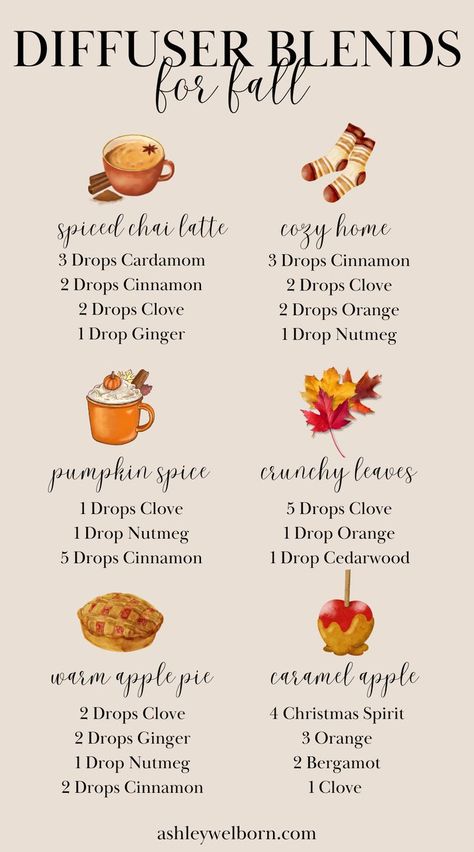 Home Diffuser Blends, Fall Essential Oil Diffuser Blends, Simmer Pot Recipes, Fall Essential Oils, Fall Diffuser Blends, Potpourri Recipes, Herbst Bucket List, Essential Oil Diffuser Blends Recipes, Essential Oil Diffuser Recipes