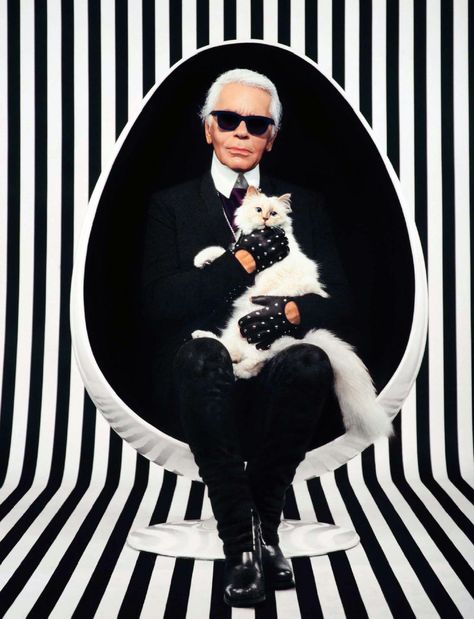 karl who? Choupette Lagerfeld, Flying Cat, Hermann Hesse, Plakat Design, Cat Books, Pictures Of The Week, Chic Gifts, Private Life, Fashion Books