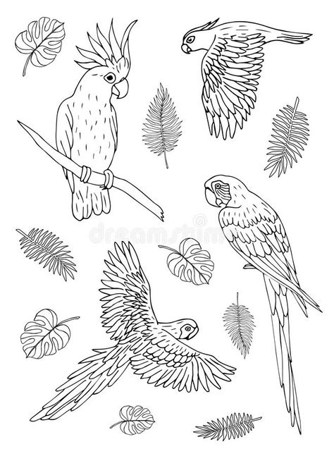 Toddler Organization, Planner Doodles, Doodle Vector, Animal Activities, Parrot Bird, Doodle Sketch, Art Instructions, Architecture Model, Drawing Sketches