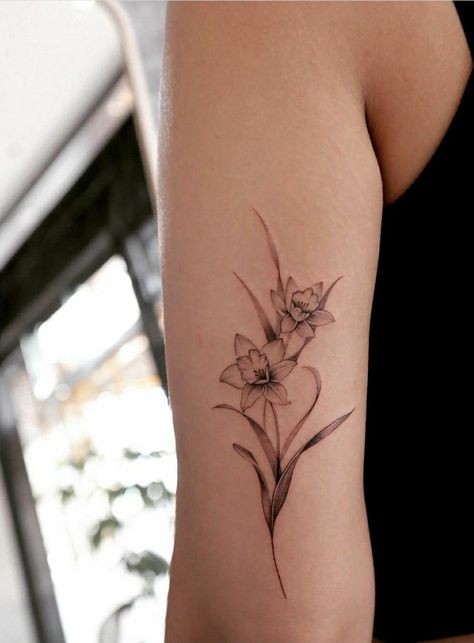 Narcissus Line Tattoo, Daffodil Tattoo Realistic, Daffodil Collar Bone Tattoo, Daffodil Bunch Tattoo, Daffodil Tattoo Bouquet, Daffodil Vine Tattoo, Dafodill Flowers Tattoo Fine Line, Single Line Daffodil Tattoo, Paper White Narcissus Tattoo