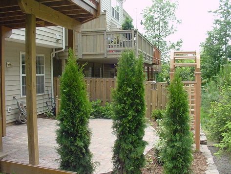 5 of the Best Townhouse Landscaping Ideas (and Pictures) for Alexandria and Arlington, VA Townhome Front Yard Landscaping, Townhome Landscape Front Yards, Townhouse Front Yard Landscaping, Townhouse Front Yard, Townhouse Landscaping, Patio Ideas Townhouse, Privacy Screen Ideas, Easy Garden Ideas, Small Front Yard