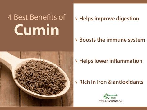 Cumin Seeds Benefits, Benefits Of Cumin, Cumin Plant, Cumin Benefits, Health Benefits Of Cumin, Boost Immunity, Cumin Seeds, Cooking 101, Healing Food