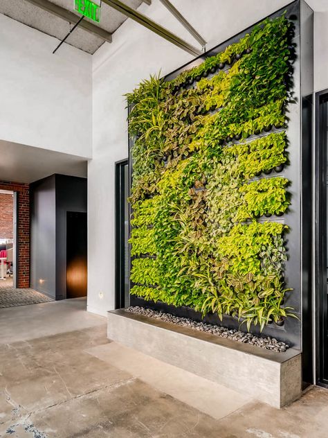 Office | Plants | Interior | Inspiration | Vertical garden | Green wall Planting Bulbs In Spring, Green Wall Design, Indoor Plant Wall, Herb Wall, Vertical Garden Indoor, Living Wall Decor, Garden Solutions, Long Walls, Modern Canvas Art