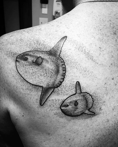 Sunfish Tattoo, Mola Tattoo, Ocean Sunfish, Mola Mola, Sea Creatures Art, Silly Animals, Beautiful Tattoos, Creature Art, Sea Creatures