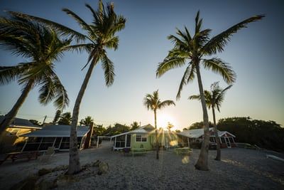 AskOliveJames - Travel Guide to the best Florida Beaches • AskOliveJames Best Place To Live In Florida, Best Places To Live In Florida, Beach Towns In Florida, Best Florida Beaches, Mexico Beach Florida, Beach List, South Beach Florida, Cumberland Island, Living In Mexico