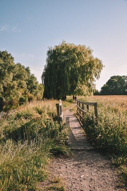 House In Middle Of Nowhere, Grantchester Aesthetic, Afternoon Vibes Aesthetic, Midday Aesthetic, Grantchester Meadows, Cambridge Cottage, Cambridge Aesthetic, Afternoon Aesthetic, Afternoon Pictures