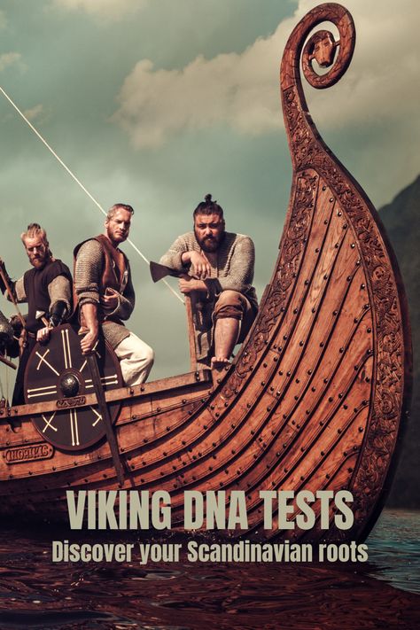 Viking and Scandinavian warriors. Viking Timeline, Viking Ancestry, Norwegian Ancestry, Viking Magic, Norse History, Danish Vikings, Viking Ships, Scandinavian History, Norwegian Vikings