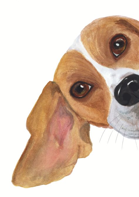 Hungarian Vizsla Drawing, Dogs Watercolor Paintings, Cute Beagle Drawing, Beagle Dog Drawing, Cute Dog Watercolor, Painting Clipart, Dogs Watercolor, Cute Dog Art, Watercolor Dogs