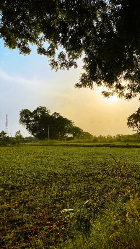 Sunrise 
Sunrise in Village
Nature Scene
Sunrise Photography Natural Village Pic, Morning Nature Snap, Village Vibes Snap, Village Morning Snap, Village Morning Photography, Village Vibes Aesthetic, Sun Rise Photography Mornings, Morning View Snap, Village Landscape Photography Nature