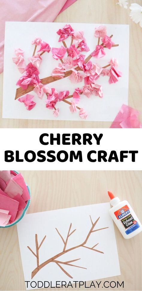 For this Cherry Blossom Craft we’re using good old tissue paper to create beautiful, Spring blossoms.  #tissuepapercraft #cherryblossomcraft #springcrafts  #tissuepapercherryblossoms Cherry Blossom Craft, Blossom Craft, Spring Arts And Crafts, Tissue Paper Craft, April Crafts, Tissue Paper Crafts, Blossom Cherry, Desain Buklet, Toddler Arts And Crafts