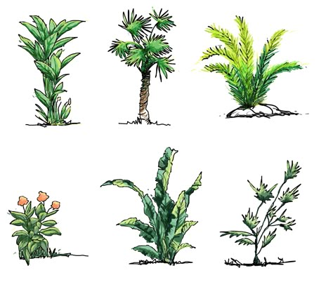 Hand drawn shrubs/plants download - sketchy shrubs and plants Tree Elevation, How To Draw Trees, Shrubs For Landscaping, Plant Sketches, Landscape Design Drawings, Architecture Drawing Sketchbooks, Landscape Architecture Drawing, Interior Architecture Drawing, Tree Sketches