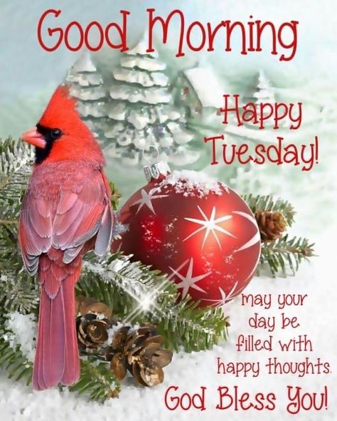 Tuesday Christmas, Labor Day Quotes, Tuesday Quotes Good Morning, Tuesday Greetings, Good Morning Christmas, Good Morning Happy Monday, Good Morning Tuesday, Good Morning Prayer, Good Morning Wishes Quotes