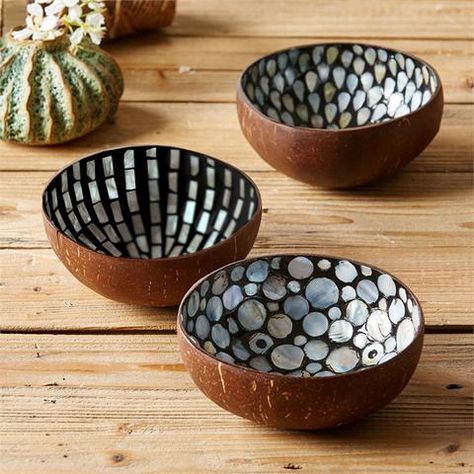 Bowls Design, Coconut Decoration, Coconut Shell Crafts, Diy Coconut, Coconut Bowl, Deco Nature, Shell Crafts Diy, Fire Bowls, Bowl Designs