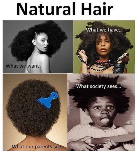 Types Of Natural Hair, Natural Hair Memes, Hair Jokes, Natural Hair Quotes, Natural Hair Problems, Twisted Hair, Curly Hair Problems, Hair Quotes, Pelo Afro