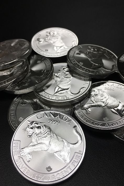 Historical Coins, Old Silver Coins, Gold Bullion Coins, Gold Bullion Bars, Canadian Coins, Silver Bullion Coins, Bullion Coins, Coin Design, Gold And Silver Coins