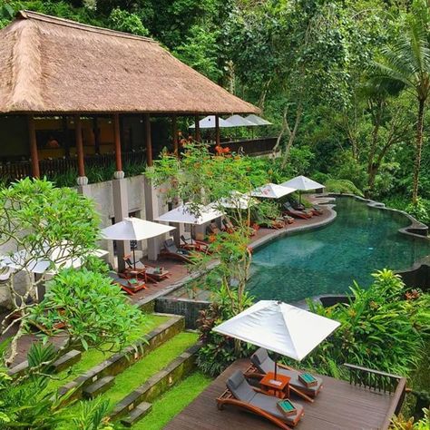 Ubud Luxury Hotel - Maya Ubud Ubud Resort, Resort Architecture, Resort Design, Tropical Landscaping, Ubud, Resort Spa, Luxury Hotel, Palm Trees, Modern Farmhouse