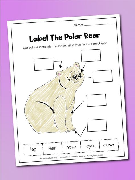 Polar Bear Learning Activities, Polar Bear Books Preschool, Arctic Animals Kindergarten Activities, Polar Bear Lesson Plans Preschool, Preschool Polar Bear Activities, Polar Activities For Preschool, Polar Bear What Do You Hear Activities, Polar Bear Polar Bear What Do You Hear Activities Preschool, Polar Bear Polar Bear What Do You Hear Activities