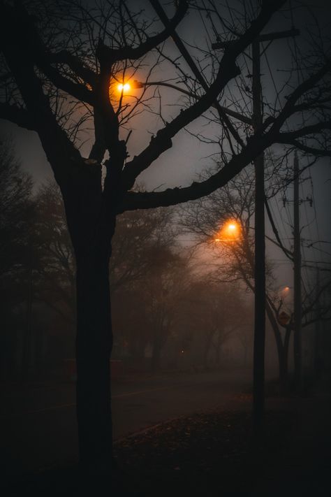 Dark Season Aesthetic, Dark Moody Fall Aesthetic, Cozy Writing Aesthetic, Black Autumn Aesthetic, Cozy Horror Aesthetic, Autumn Evening Aesthetic, Late Autumn Aesthetic, Deep Autumn Aesthetic, November Aesthetic Dark