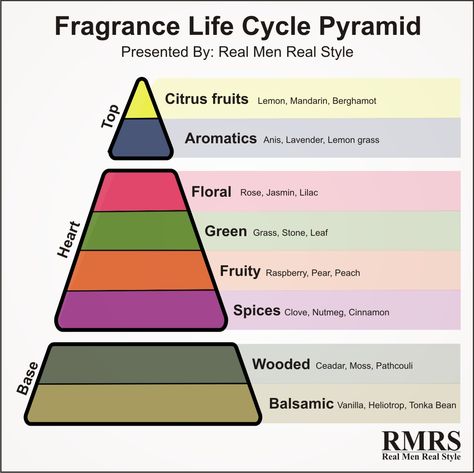 Fragrance Life Cycle Pyramid Infographic Perfumes Notes, Scent Families, Real Men Real Style, Homemade Perfume, Best Mens Cologne, Make Up Cosmetics, Best Perfume For Men, Man Card, Perfume Recipes