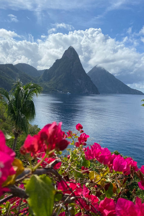 Unlock the secrets of St. Lucia with this ultimate travel guide!🌴 Explore Soufriere, dive into mesmerizing blue waters, and marvel at the Pitons from your private boat day. From luxurious stays to adrenaline-pumping adventures, our blog post is your key to a perfect Caribbean escape. St. Lucia is a must add destination to your bucket list! 🌞🌊 #StLuciaGuide #CaribbeanTravel #BucketList St Lucia Pitons, St Lucia Aesthetic, Castries St Lucia, At Lucia, Soufriere St Lucia, Pitons St Lucia, Caribbean Aesthetic, St Lucia Travel, Christmas Cruise