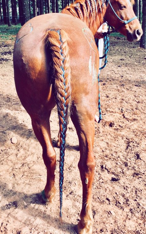 Horse tail hair style #horse #horses #horsecare #horsetips #horsehealth #racing #horceracing #riding #havehorse Western Horse Hair Styles, Braided Horse Tail, Horse Tail Hairstyle, Horse Hair Styles, Horse Mane Styles, Horse Tail Braid, Horse Hairstyles, Tail Ideas, Horse Braids