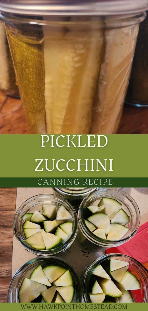 Zucchini Dill Pickles Canning, Can You Pickle Zucchini, Dill Pickled Zucchini Recipes, Pickled Zucchini Canning, Canning Recipes With Zucchini, Can You Can Zucchini, Pickled Squash And Zucchini, Canning Cucumbers Recipes, Zuchini Canning Ideas