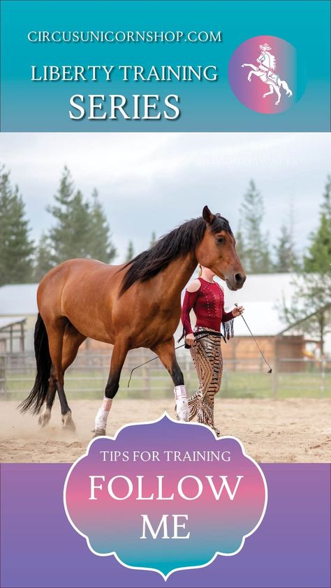 An easy and helpful exercise to start training your horse in liberty work! Broken down step by step for beginners as well as options to advance your training. Liberty Horse Training, Liberty Horse, Equestrian Vaulting, Vaulting Equestrian, Horse Training Exercises, Trick Riding, Horses Equestrian, Horse Trainer, Horse Training