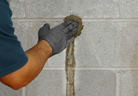 Tips for Waterproofing Basement Walls Waterproofing Basement Walls, Leaky Basement, Basement Repair, Leaking Basement, Wet Basement, Basement Layout, Concrete Sealer, Diy Basement, Waterproofing Basement