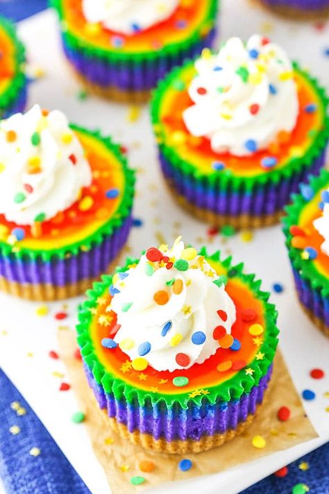 Mini Rainbow Cheesecakes are so fun with colorful swirl layers! This fun cheesecake recipe is perfect for St. Patricks Day and kids parties! #rainbow #rainbowcake #stpatricksday #stpatricks #easter #kidsparty #partycake Fun Cheesecake, Cupcakes Birthday Cake, Fun Cheesecake Recipes, Mini Pastelitos, Rainbow Cheesecake, Cheesecake Cupcake, Cupcakes Birthday, Cheesecake Lovers, Delicious Clean Eating