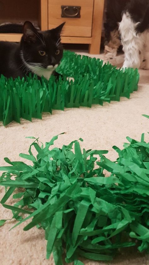 Tissue Paper Grass Diy, Grass Paper Craft, Paper Grass Diy, How To Make Grass Out Of Paper, Stellar Vbs, Grass Backdrops, Faux Grass, Easter Theme, Cardboard Sculpture