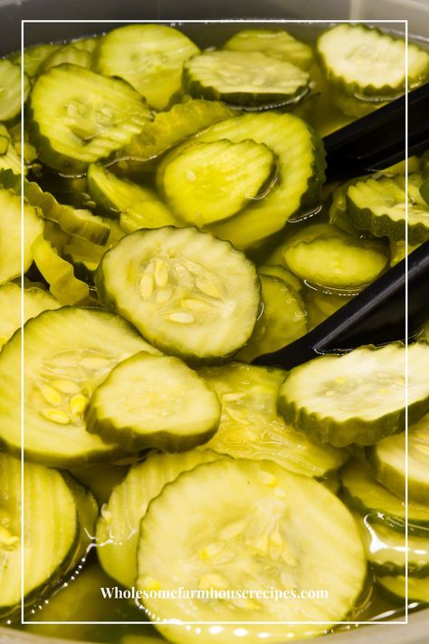 Freezer Cucumber And Onions, Freezer Pickles Recipes, Sweet Pickle Recipe, Freezer Pickles, Summer Produce Recipes, Pickling Cucumbers Recipe, Sweet Pickles Recipe, Canned Pickles, Pickled Foods