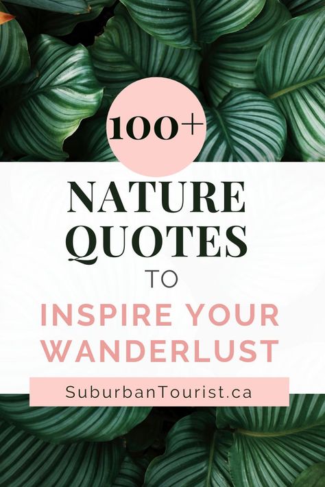 Over 100 Inspirational Nature Quotes. Nature Quotes Tattoo, Nature Travel Captions, Wilderness Quotes Wild Women, Being In Nature Quotes, Outdoor Quotes Nature Inspiration, Wildlife Captions For Instagram, Quotes About Beauty In Nature, Tree Quotes Inspirational, Lost In Nature Quotes