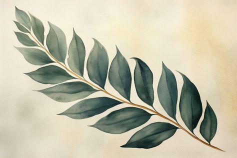 Cedar leaf watercolor background plant green pattern. | free image by rawpixel.com / Darakoon Jaktreemongkol Cedar Tree Watercolor, Leaf Watercolor, Tree Watercolor, Cedar Tree, Cedar Trees, Watercolor Trees, Aesthetic Aesthetic, Download Free Images, Green Pattern