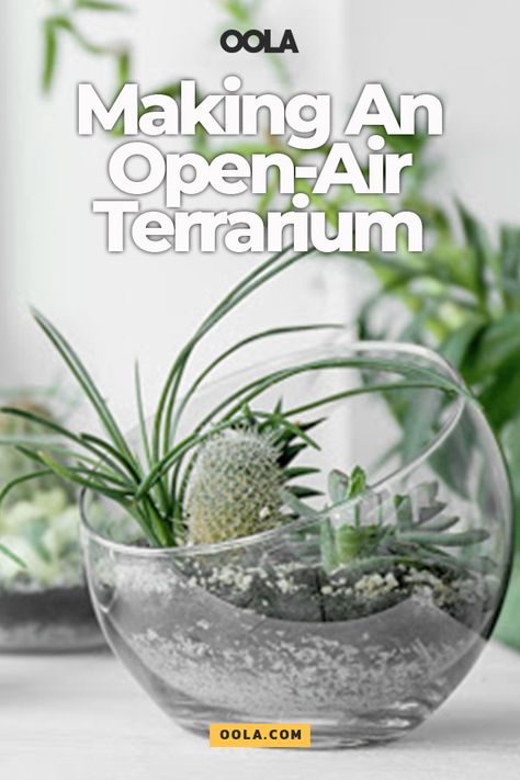 Indoor Interior Design, Terrarium Making, Mason Jar Terrarium, Plant Apartment, Orchid Terrarium, Amazing Aesthetic, Large Terrarium, Orchid House, Open Terrariums