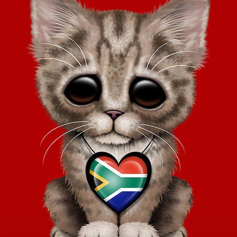 Cute Kitten Cat with South African Flag Heart | Jeff Bartels Brown Tabby Kitten, Slovenian Flag, Maltese Flag, Peruvian Flag, Egyptian Flag, Romanian Flag, Albanian Flag, African Cats, Dutch Flag