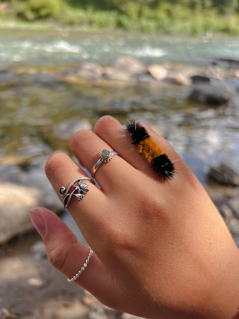 #granola #wilderness #insects #caterpillar #jewelry #rings #aesthetic #cute #fashion #inspo #instagram Granola Rings, Caterpillar Jewelry, Caterpillar Aesthetic, Jewelry Rings Aesthetic, Fashion Inspo Instagram, Rings Aesthetic, Inspo Instagram, Aesthetic Cute, Creature Feature